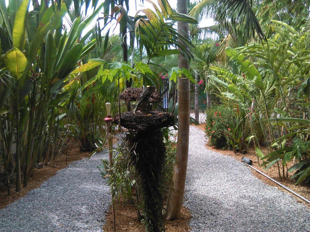 Cabinas Tropicales Puerto Jiménez Cameră foto