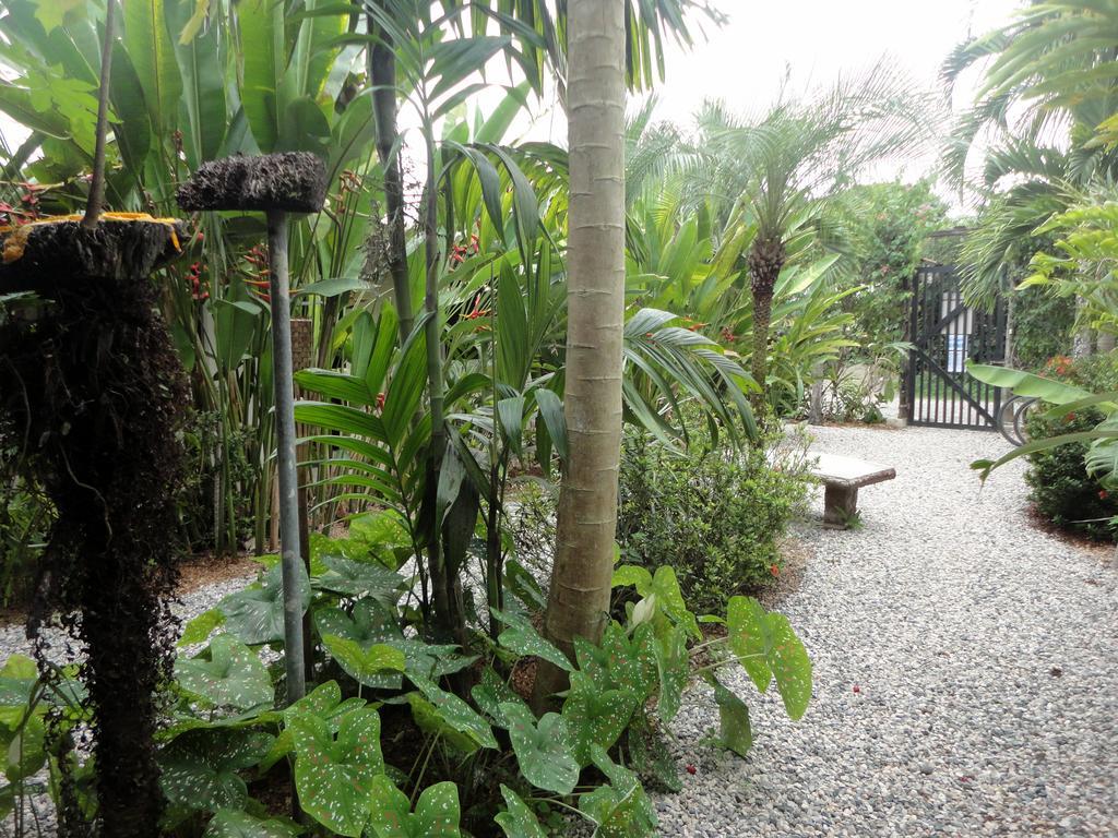 Cabinas Tropicales Puerto Jiménez Exterior foto