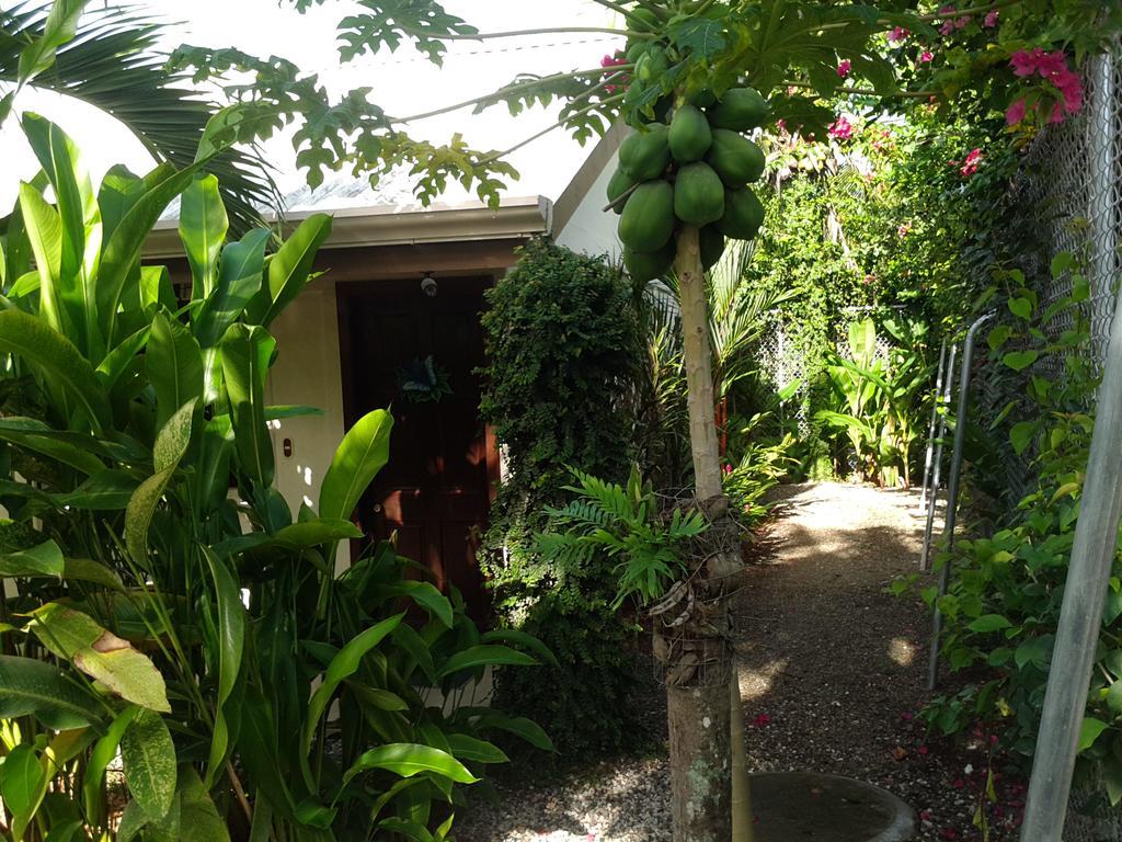Cabinas Tropicales Puerto Jiménez Exterior foto